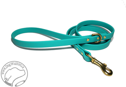 Teal Biothane Dog Leash - Regular 16mm (5/8") width