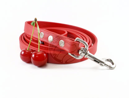 Poppy Red Biothane Dog Leash - Regular 16mm (5/8") width
