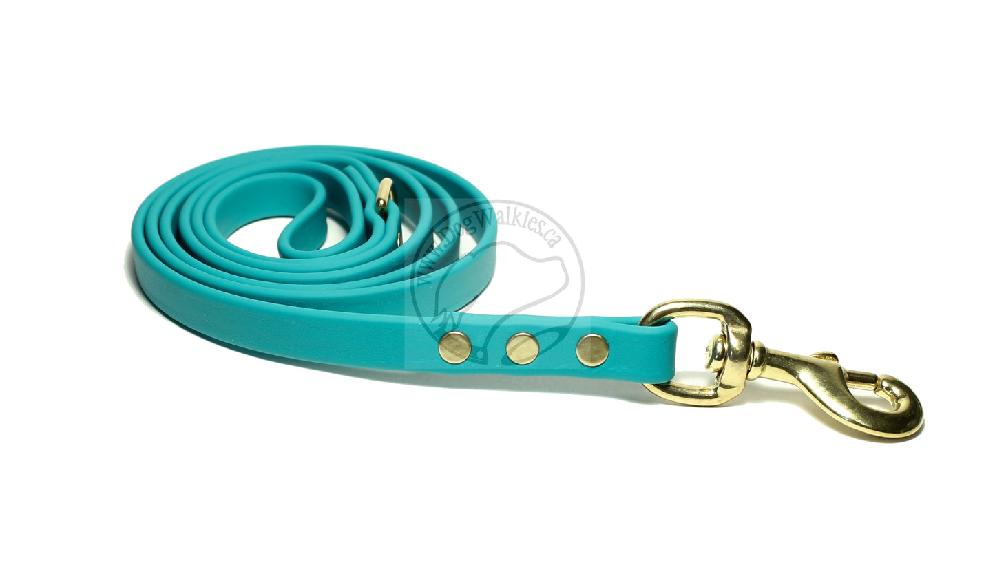 Teal Biothane Dog Leash - Regular 16mm (5/8") width