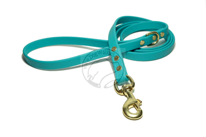 Teal Biothane Dog Leash - Regular 16mm (5/8") width