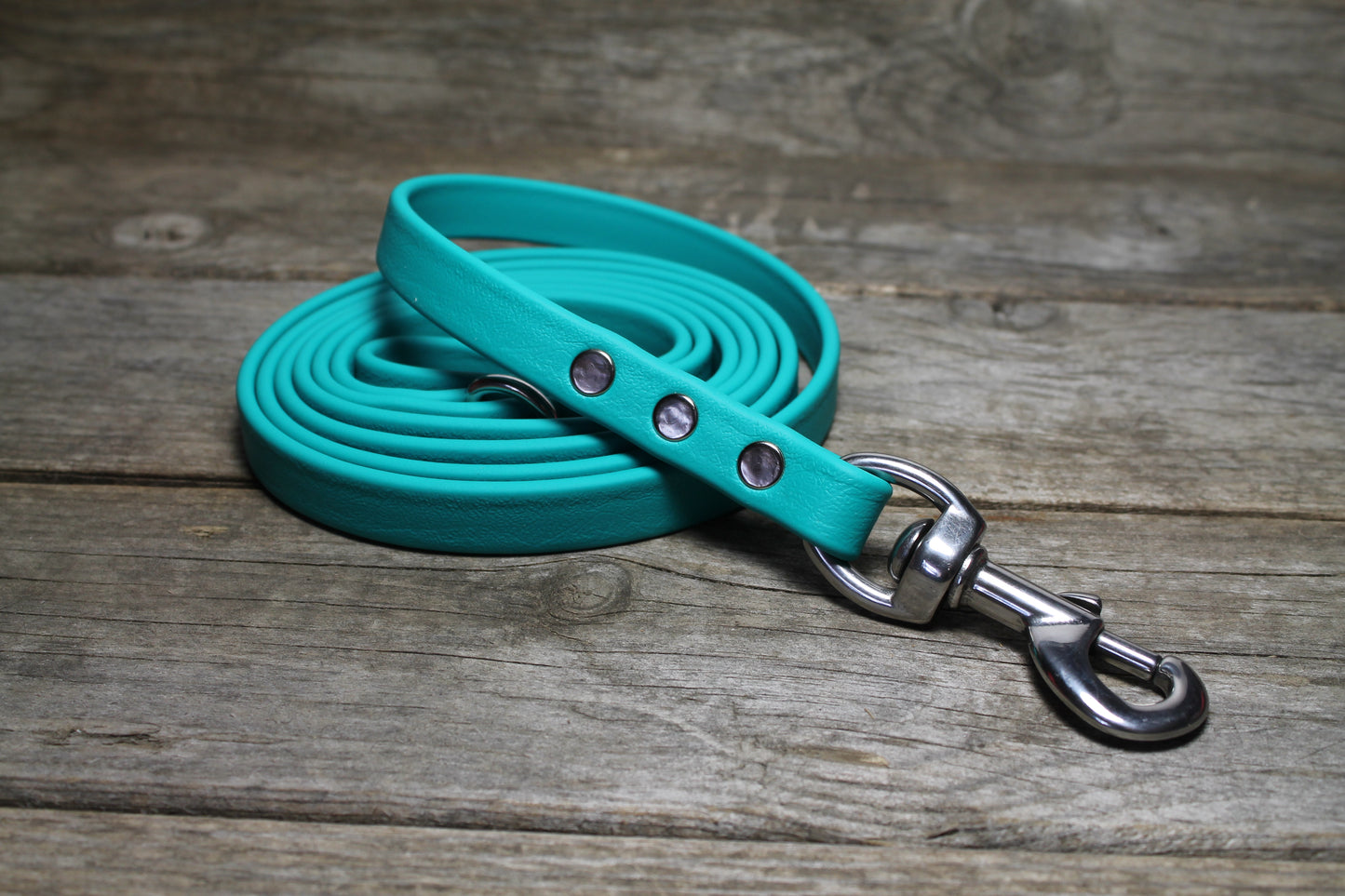 Teal Biothane Dog Leash - Regular 16mm (5/8") width