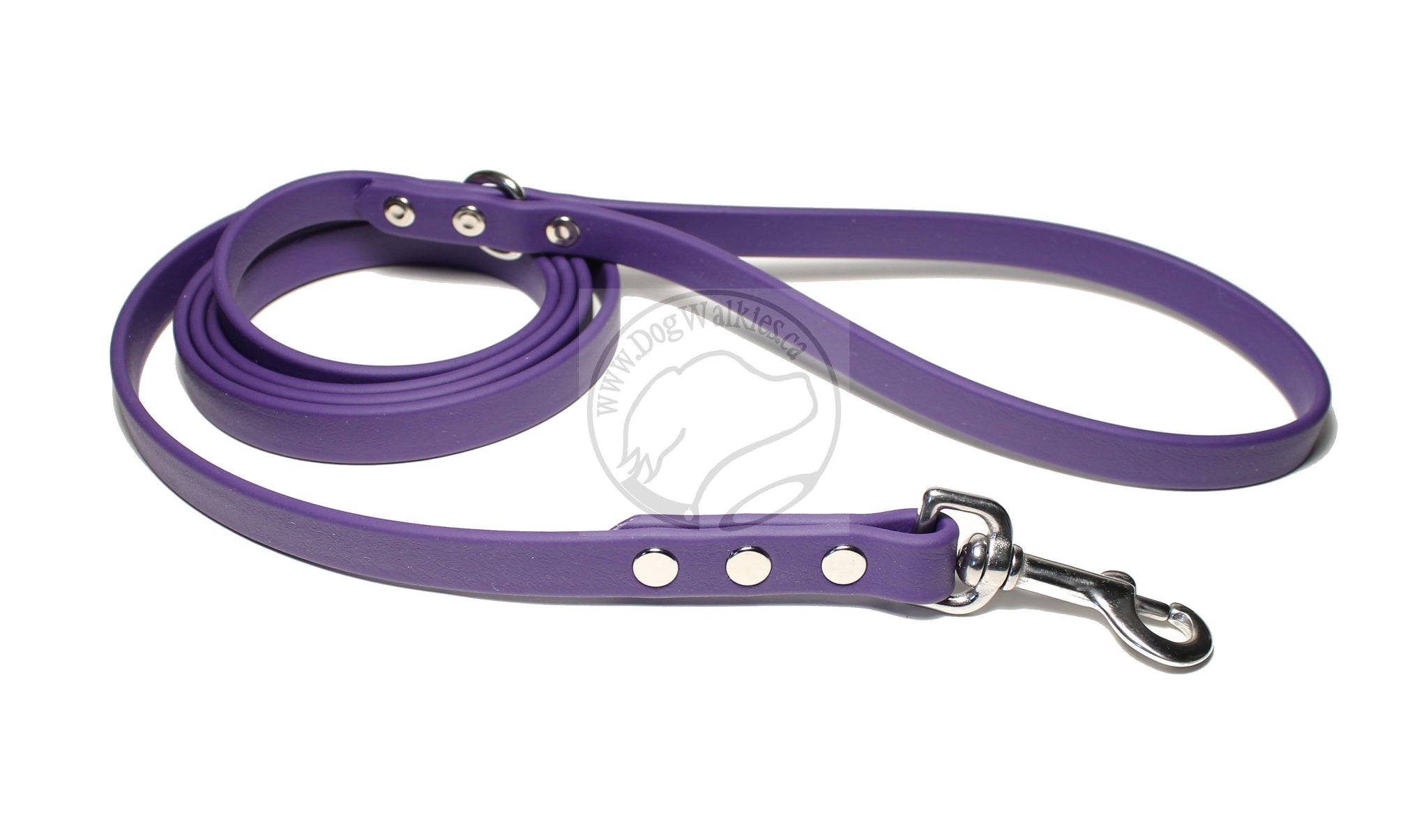 Royal Purple Biothane Dog Leash