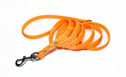 Bright Pumpkin Orange Biothane Dog Leash - Regular 16mm (5/8") width
