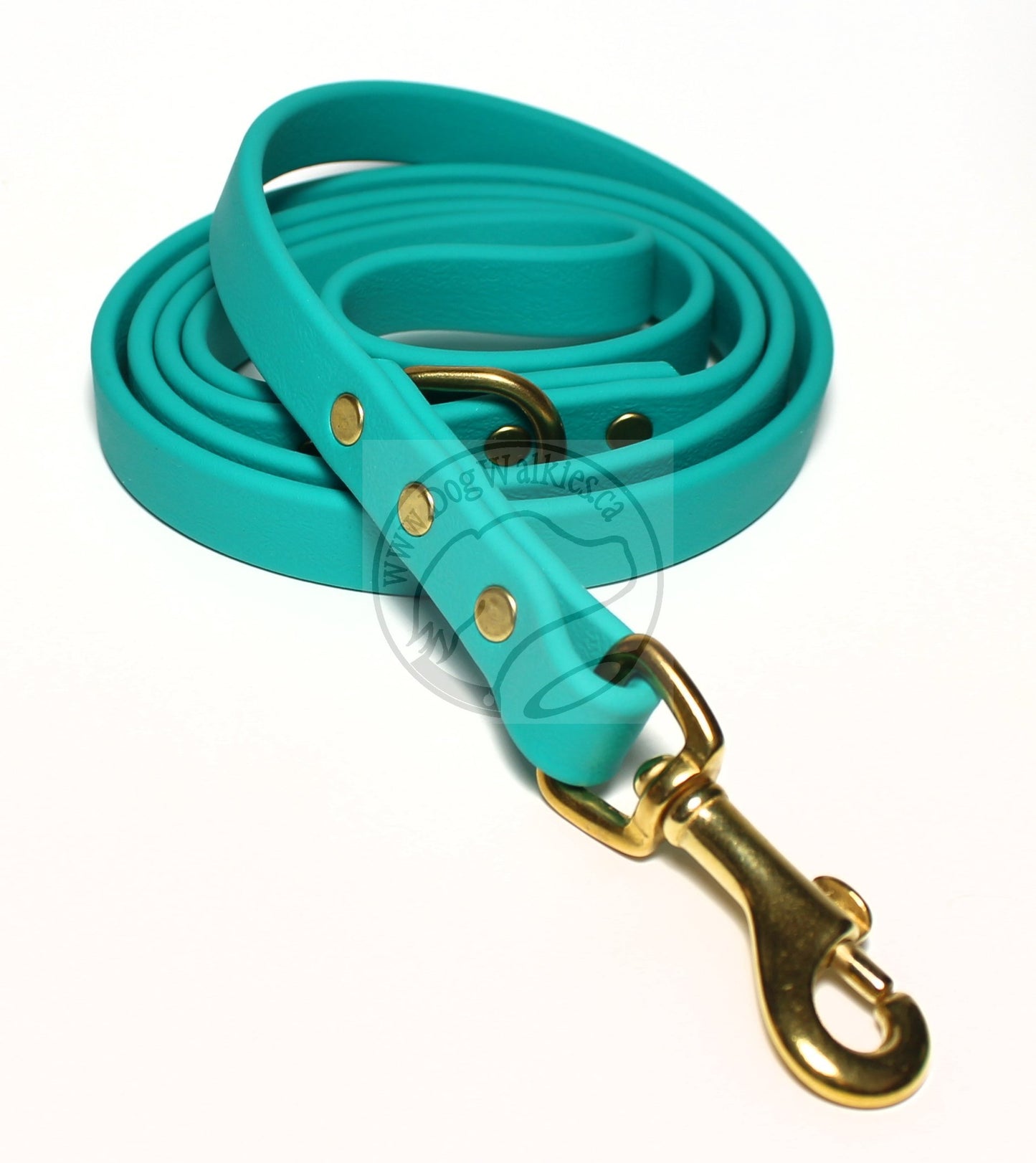 Teal Biothane Dog Leash - Regular 16mm (5/8") width