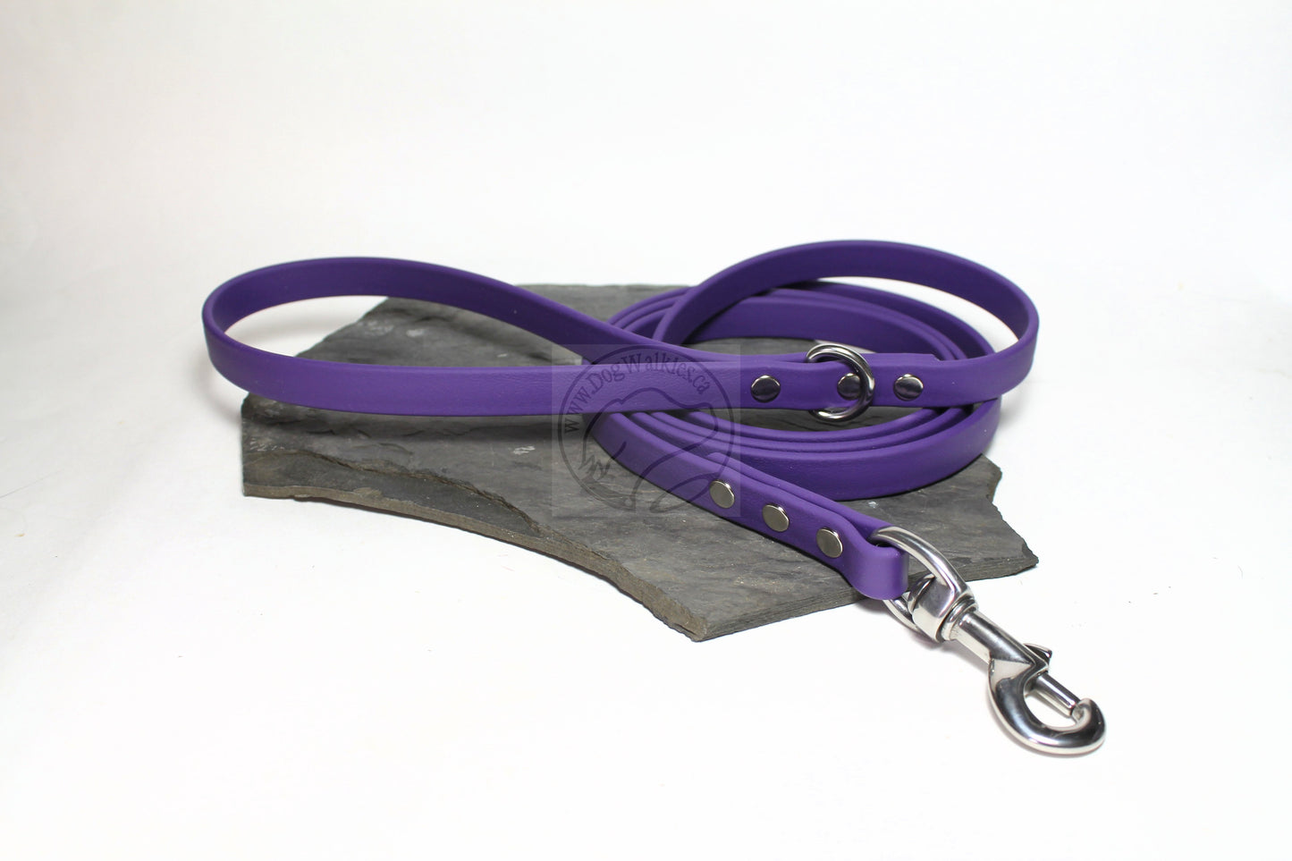 Royal Purple Biothane Dog Leash - Regular 16mm (5/8") width