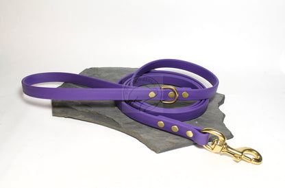 Royal Purple Biothane Dog Leash - Regular 16mm (5/8") width