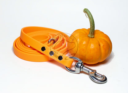 Bright Pumpkin Orange Biothane Dog Leash - Regular 16mm (5/8") width
