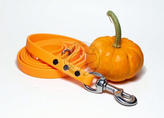 Bright Pumpkin Orange Biothane Dog Leash - Regular 16mm (5/8") width