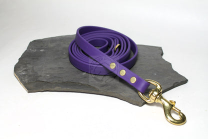 Royal Purple Biothane Dog Leash - Regular 16mm (5/8") width