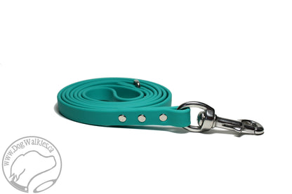 Teal Biothane Dog Leash - Regular 16mm (5/8") width
