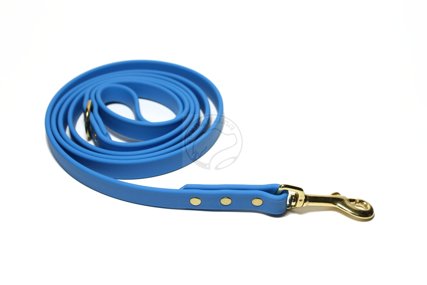 Caribbean Blue Biothane Dog Leash - Regular 16mm (5/8") width