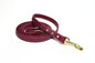 Wine Merlot Biothane Dog Leash - Regular 16mm (5/8") width