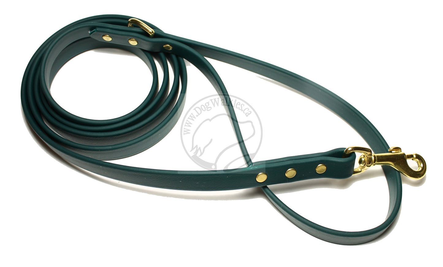 Pine Green Biothane Dog Leash - Regular 16mm (5/8") width
