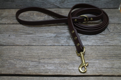 Dark Chocolate Brown Biothane Dog Leash - Regular 16mm (5/8") width