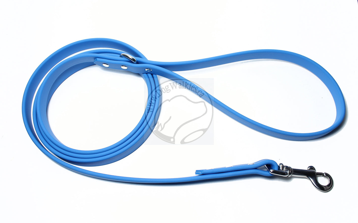 Caribbean Blue Biothane Dog Leash - Regular 16mm (5/8") width