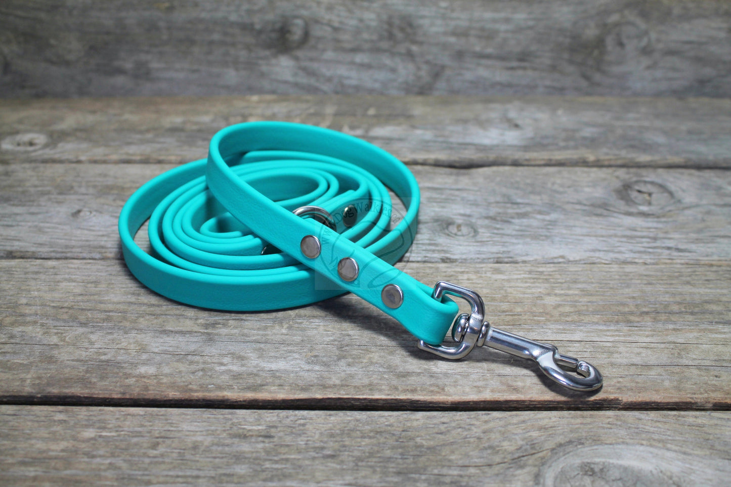 Teal Biothane Dog Leash - Regular 16mm (5/8") width