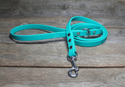 Teal Biothane Dog Leash - Regular 16mm (5/8") width