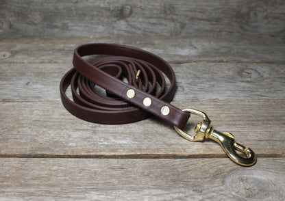 Dark Chocolate Brown Biothane Dog Leash - Regular 16mm (5/8") width