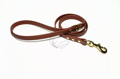 Milk Chocolate Brown Biothane Dog Leash - Regular 16mm (5/8") width
