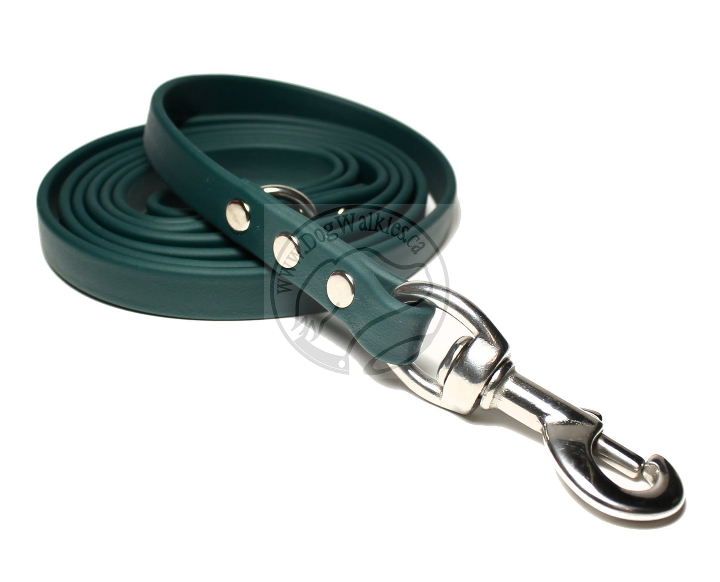 Pine Green Biothane Dog Leash - Regular 16mm (5/8") width