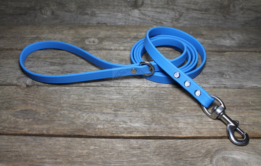 Caribbean Blue Biothane Dog Leash - Regular 16mm (5/8") width
