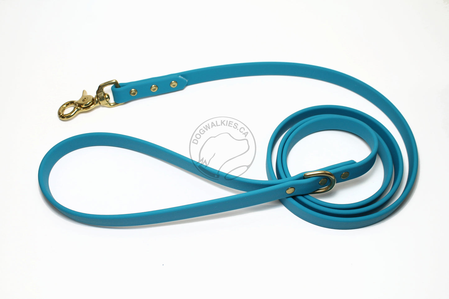 Oasis Blue Biothane Dog Leash - Regular 16mm (5/8") width