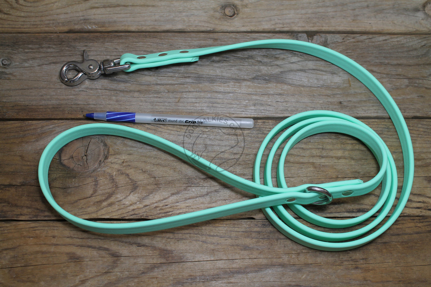 Sea Foam Pastel Green Biothane Dog Leash - Regular 16mm (5/8") width