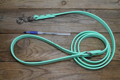 Sea Foam Pastel Green Biothane Dog Leash - Regular 16mm (5/8") width