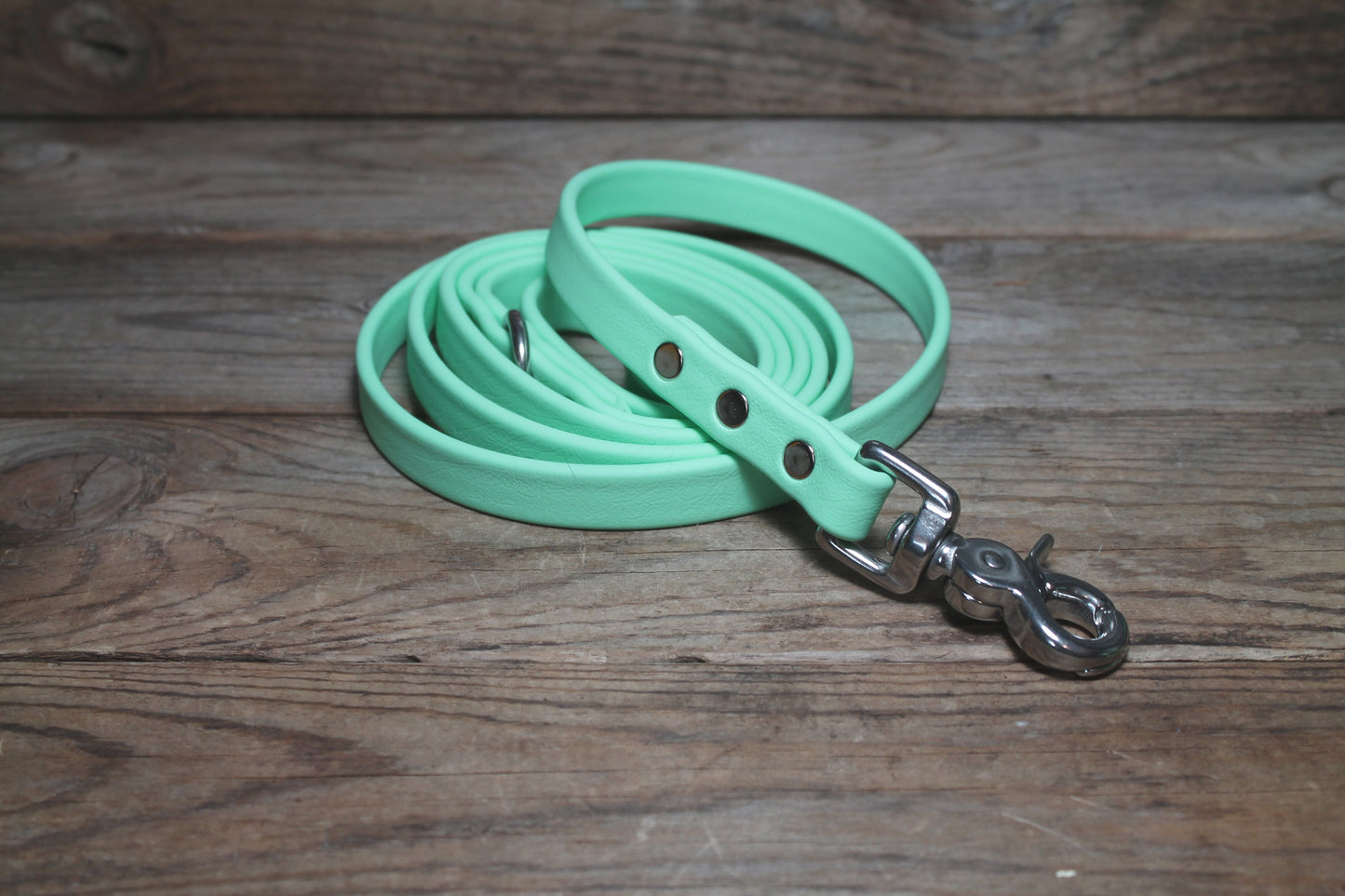 Sea Foam Pastel Green Biothane Dog Leash - Regular 16mm (5/8") width