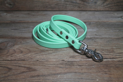 Sea Foam Pastel Green Biothane Dog Leash - Regular 16mm (5/8") width