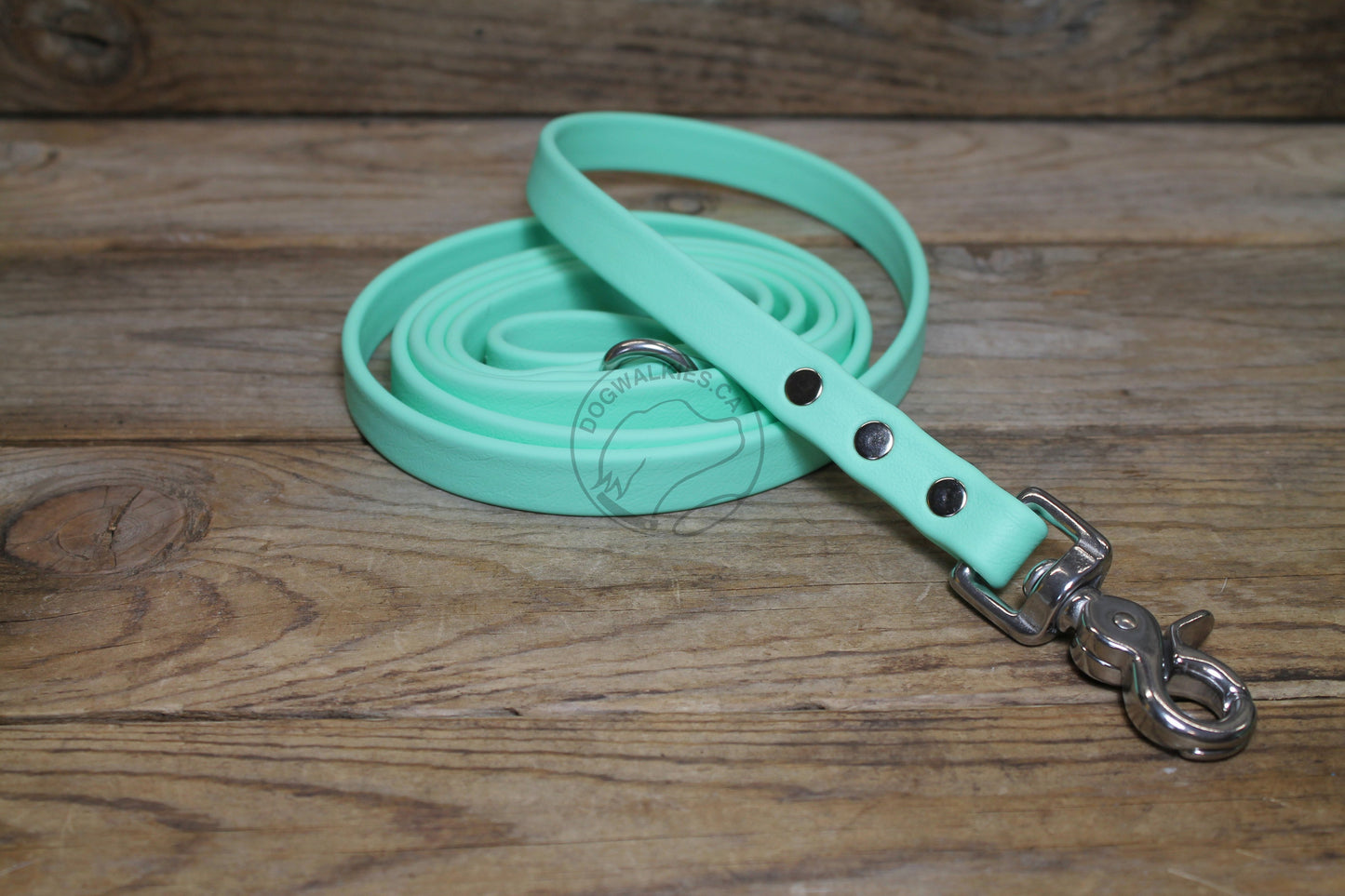 Sea Foam Pastel Green Biothane Dog Leash - Regular 16mm (5/8") width