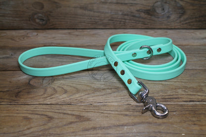 Sea Foam Pastel Green Biothane Dog Leash - Regular 16mm (5/8") width