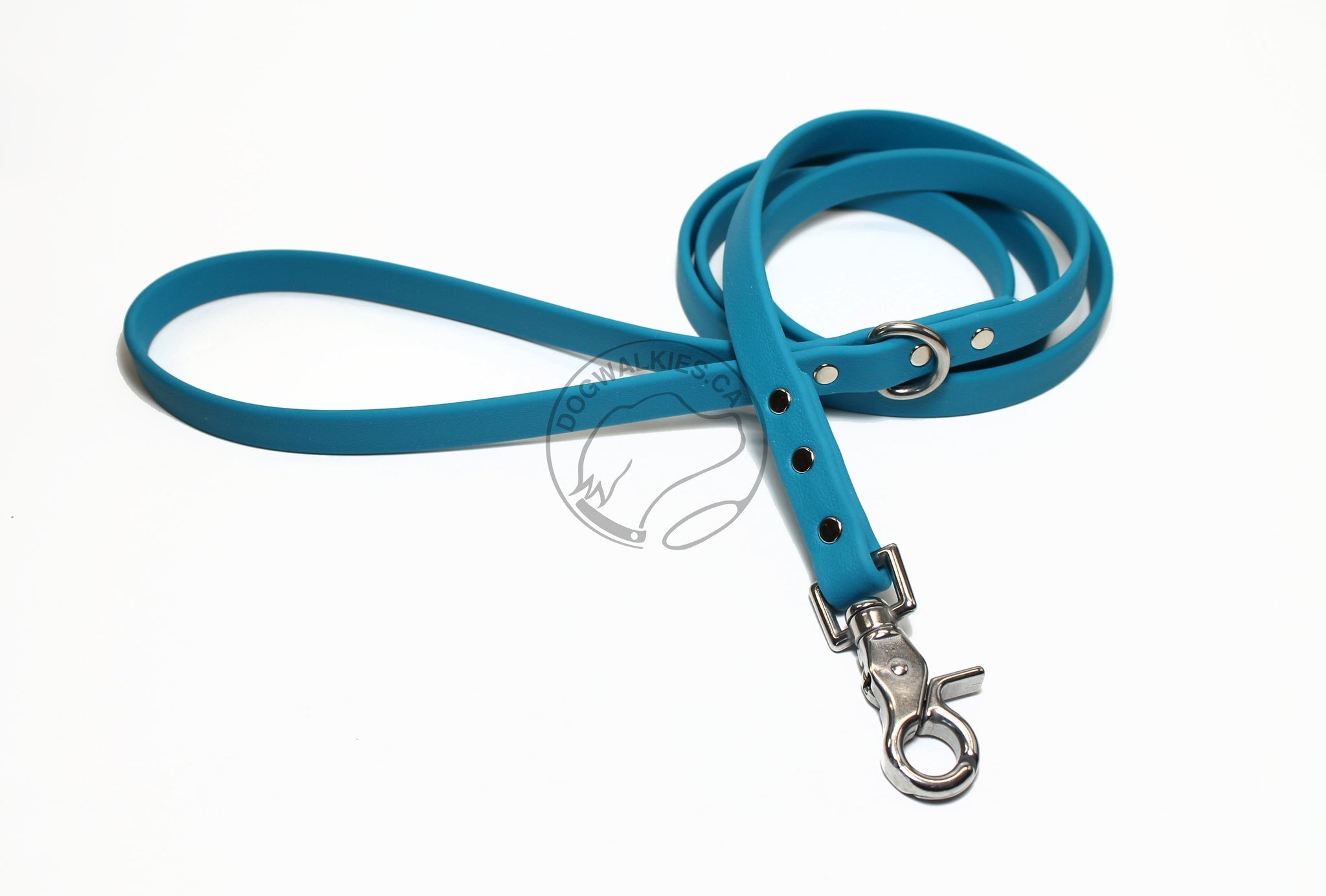 Oasis Blue Biothane Dog Leash
