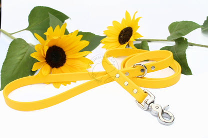 Regular Biothane Leash 5/8" (16mm) wide - waterproof leash - all colours