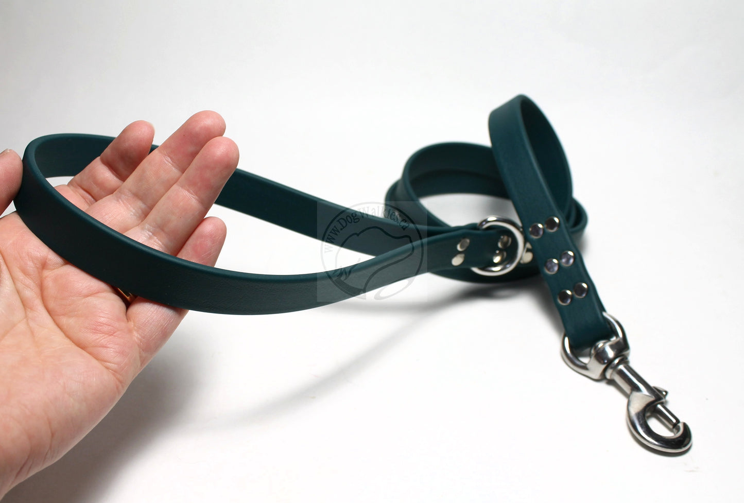 Pine Green Biothane Large Dog Leash