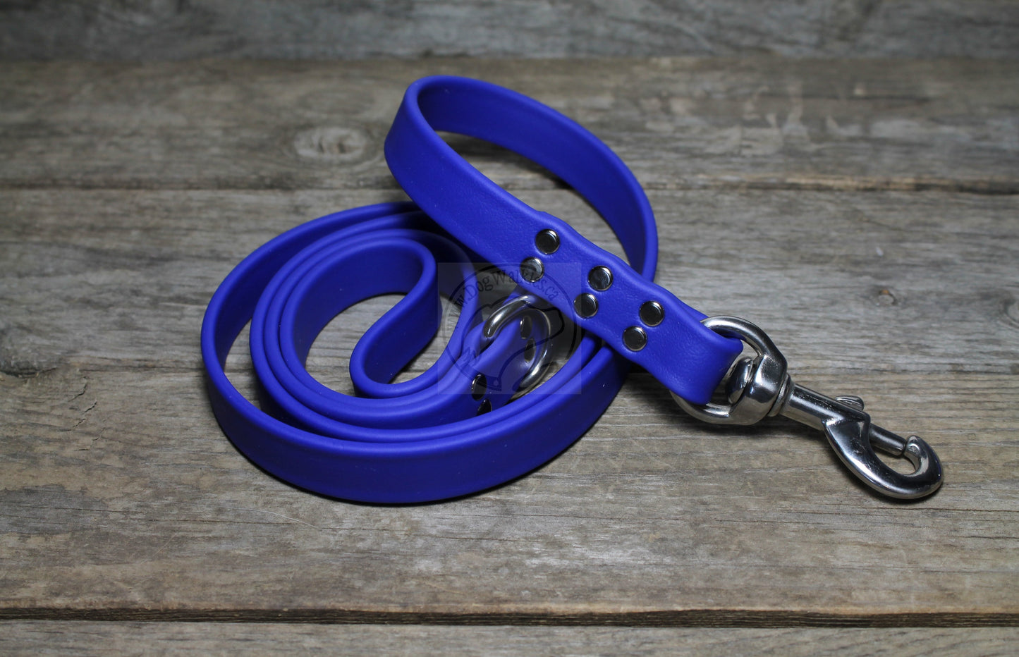 Royal Blue Biothane Large Dog Leash