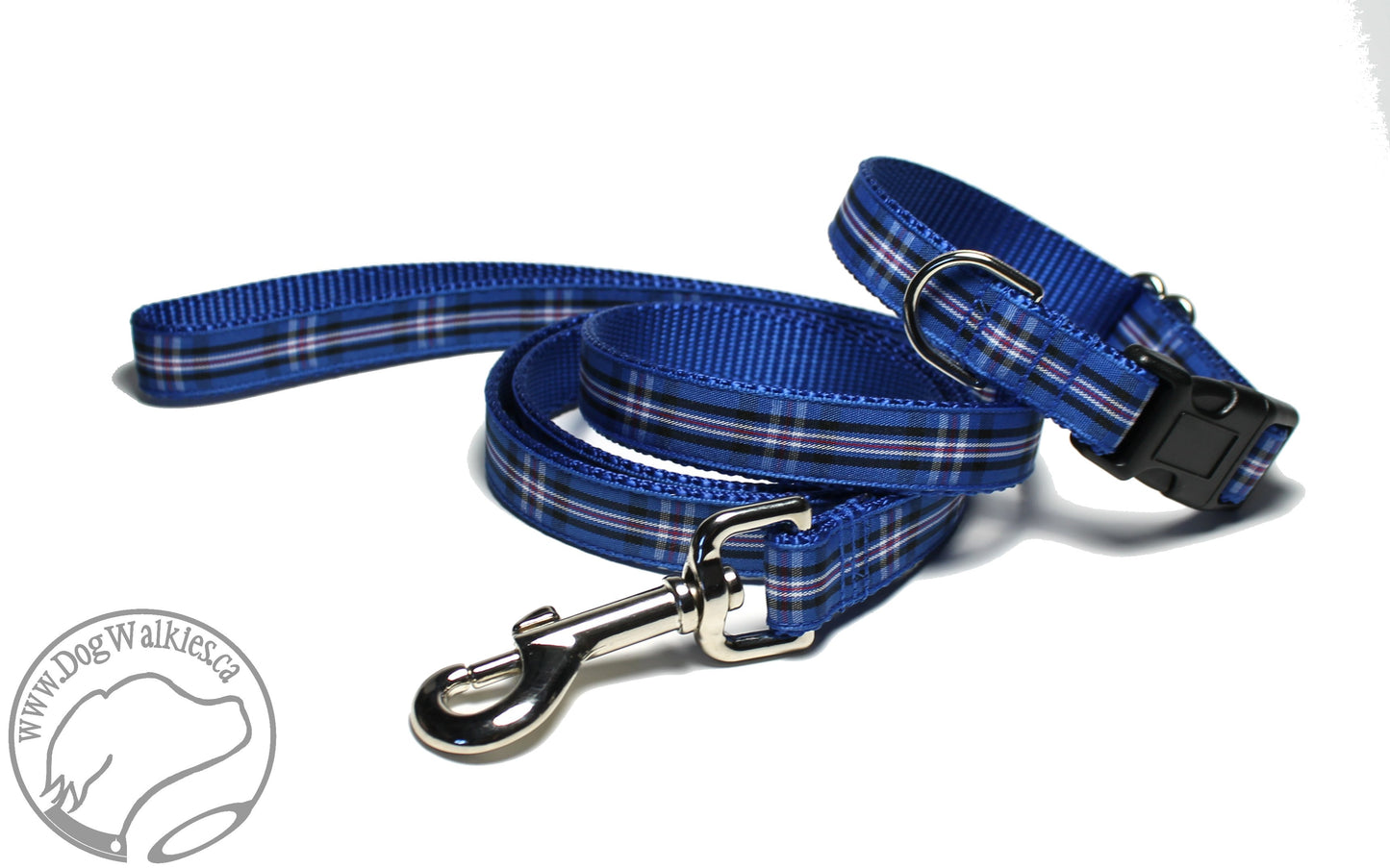 Rangers FC tartan - dog collar