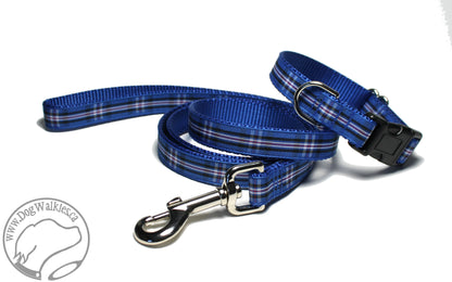 Rangers FC tartan - dog collar