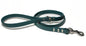 Pine Green Biothane Large Dog Leash