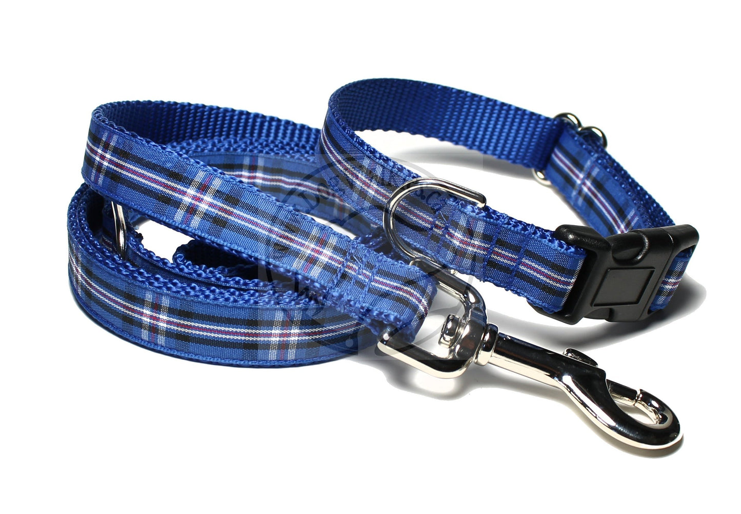Rangers FC tartan - dog collar