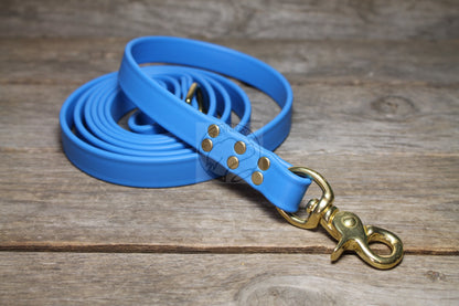 Caribbean Blue Biothane Large Dog Leash