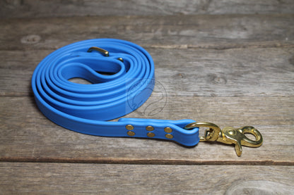 Caribbean Blue Biothane Large Dog Leash