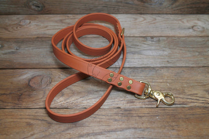 Caramel Brown Biothane Large Dog Leash