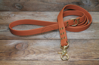 Heavy Biothane Leash 3/4" (20mm) wide - waterproof leash - all colours