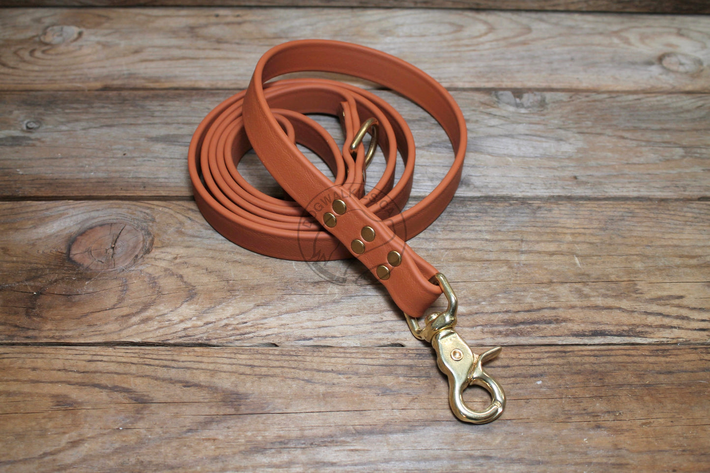 Caramel Brown Biothane Large Dog Leash