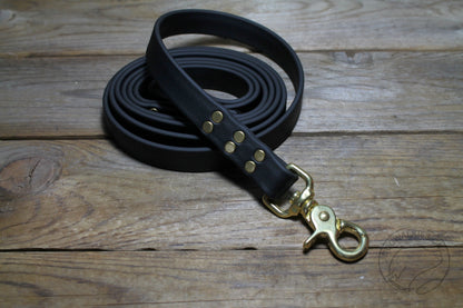 Jet Black Biothane Large Dog Leash