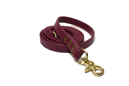Wine Merlot Biothane Large Dog Leash