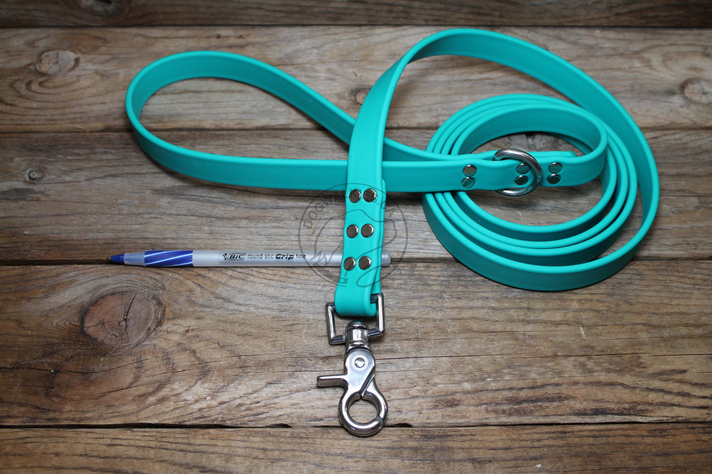 Teal Biothane Large Dog Leash