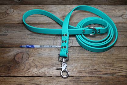 Teal Biothane Large Dog Leash
