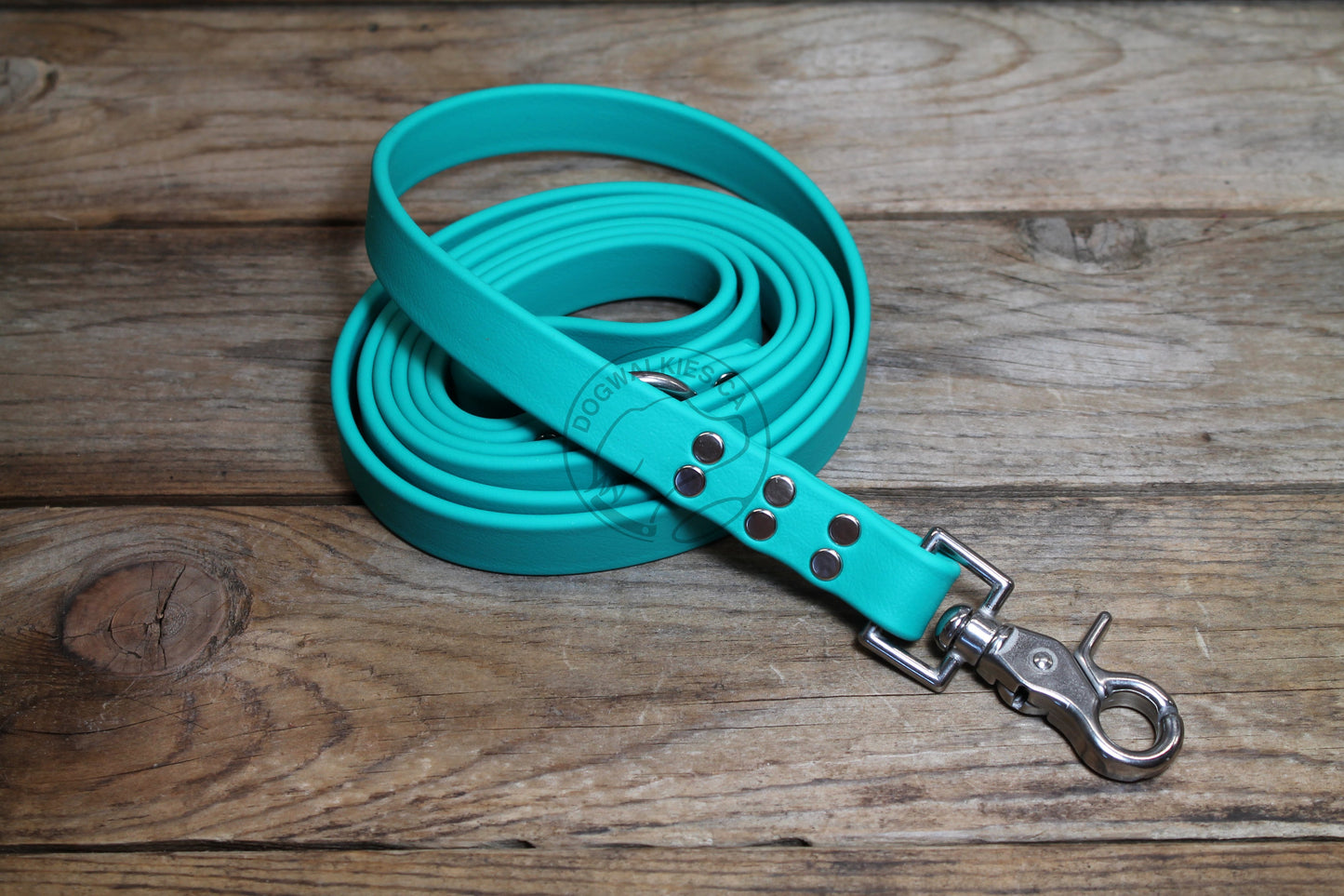 Teal Biothane Large Dog Leash